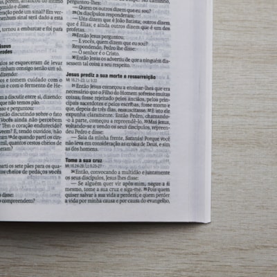 image_527b9409-7582-46c1-a9ed-50852a905d73