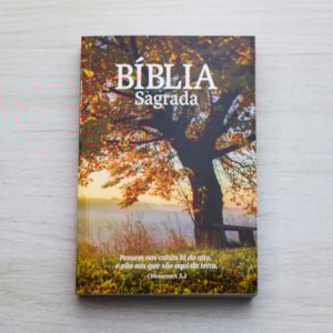 Segunda imagem do produto Bíblia Sagrada Outono | NAA | Letra Normal | Capa Brochura