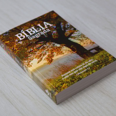 image_ef7ad997-8da7-47f8-be3f-8859934b4654