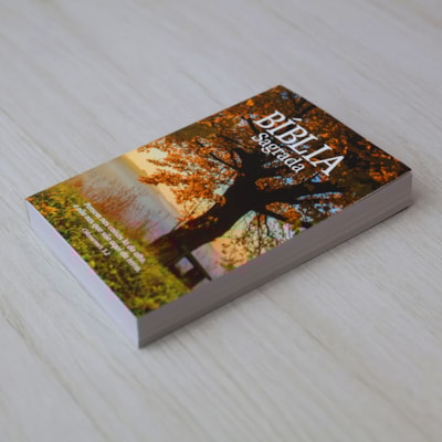 image_5821811c-7d55-462e-b648-755d9978e7c1