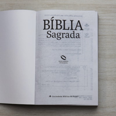 image_a4a80fe4-1fc7-41a8-ab11-a4ec27734843