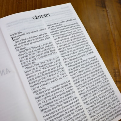 image_32389fd6-a4c1-4e65-8ee3-ef9c129f60a0