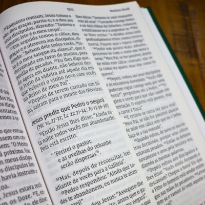 image_30709cbe-c3cf-4a9c-8d4f-94361359c028