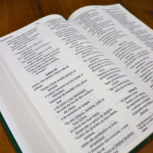 Bíblia Sagrada Pacificadores | NVI | Letra Grande | Capa Dura