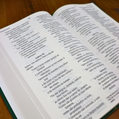 image_f56ff832-4252-4006-ada0-518634c93d3e