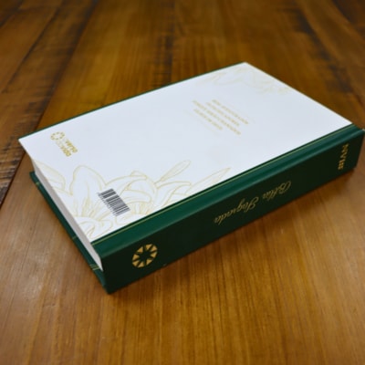 image_7a47726f-8842-4726-b4b0-9336aa89435e