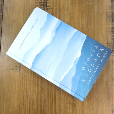 image_d88becc3-7a5b-4404-bcb7-5f61dc60312a