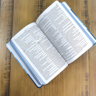 image_7f561a1f-63ca-44ea-aa68-0809ce7c72d9