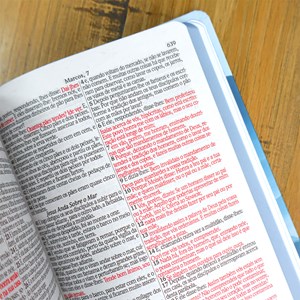 Bíblia Sagrada Paisagem | ARC | Letra Grande | Capa Dura | Harpa Avivada e Corinhos