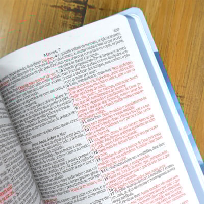 image_b529f0f9-0809-4ecf-a450-05b5acd9a010