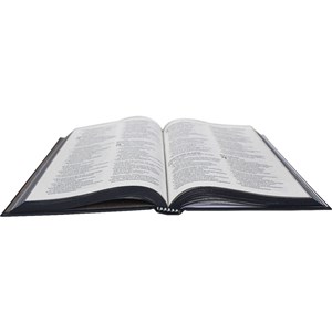Bíblia Sagrada Palavras | NAA | Letra Normal | Capa Dura Ilustrada