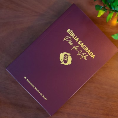 image_466ed104-de92-4434-a065-db6501a5384e