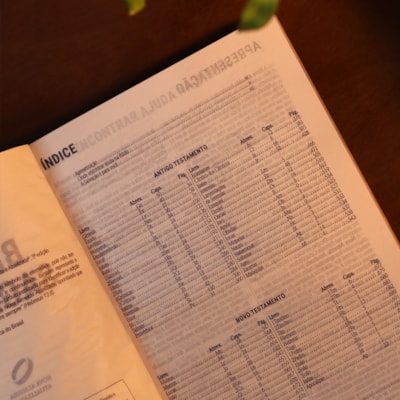 image_7c05b0b8-4e0f-4e9e-ba7c-482ab1a0599b