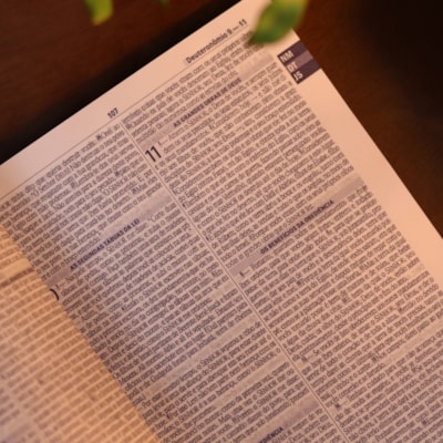 image_e2b6fe34-6e45-4a70-bcbf-5994ea8d9c98