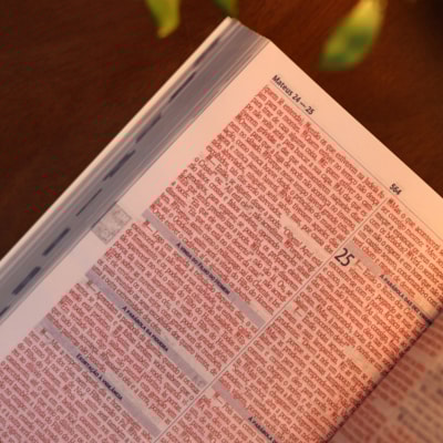 image_3fcefa69-ea7a-41fe-950e-28edc76236b9