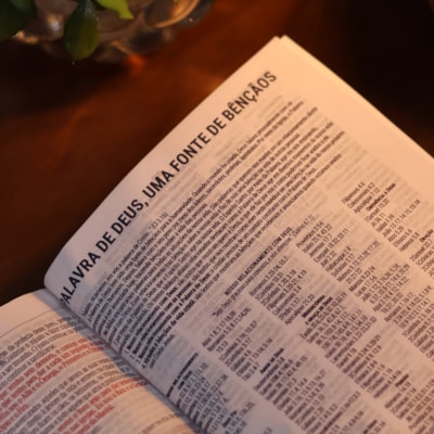 image_fb363506-37f5-481b-a870-048a12493329