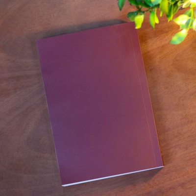 image_d31c4cfb-9812-4852-9398-710dfda055ec