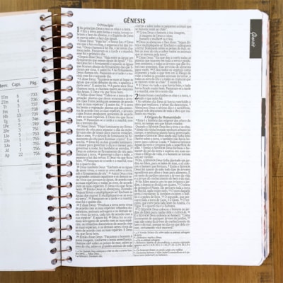 image_367b7dac-94b2-46d7-9e52-7ddf3d835b6e