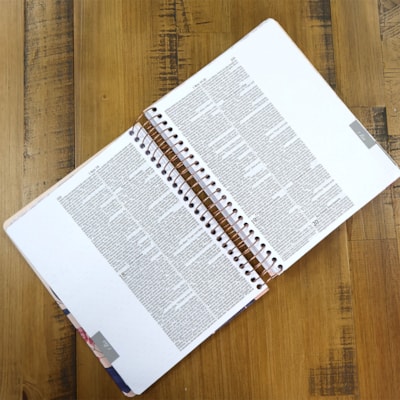 image_bed90eb6-e7ae-4822-a389-956e713c95f9