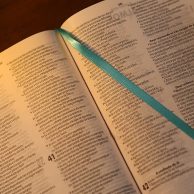 image_42c3a4d2-9294-45c4-bfa5-1883a665ec60