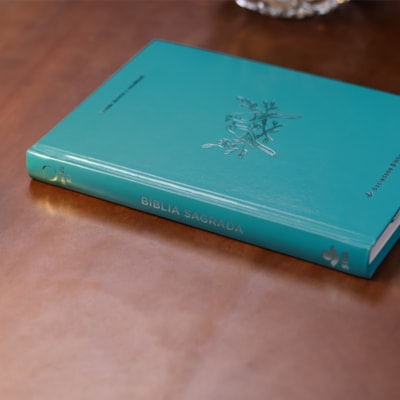 image_54077cbb-d664-44ce-8e3b-1d1e8ee9d2cd