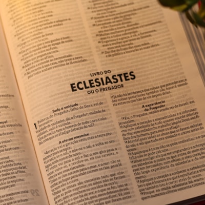 image_833120d4-ea89-467b-a185-fd3cc762d26e