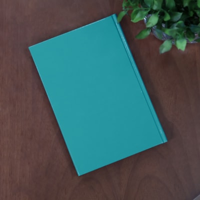 image_756f90ce-976c-4ba4-ac79-35262e4696d4