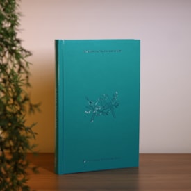 Segunda imagem do produto Bíblia Sagrada Pássaros | NTLH | Capa Dura Azul Claro