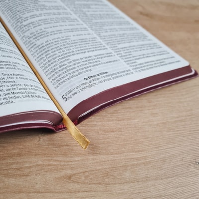 image_c74db6f2-bacb-4fc7-9e4e-96a9dd04be03