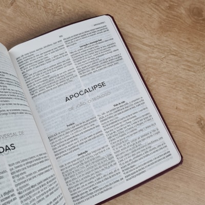 image_54e40c55-7f59-4c6f-96a0-e089da291958