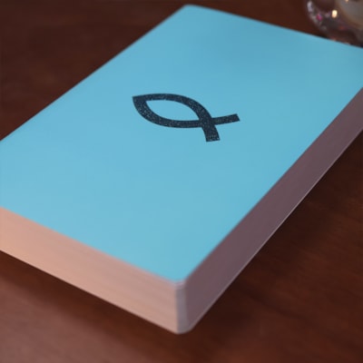 image_e77b5757-c051-4541-aa34-bfc4df940c4b