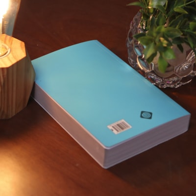 image_30d6b765-a3db-49ce-8c6e-24f7c7fa2f3d