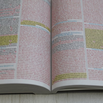 image_61620269-f08f-477e-bfb4-88157c19cb14