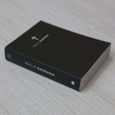 image_c727786a-78e1-4aaf-8365-126b2c3feec9