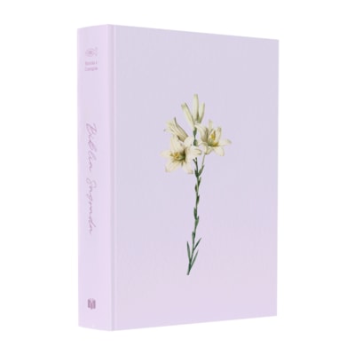 Imagem Principal - edf12b76-772e-4841-b74b-768df923716f