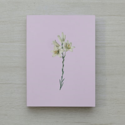 image_6557de18-7e17-4b1f-964f-5f6384ab9ea8