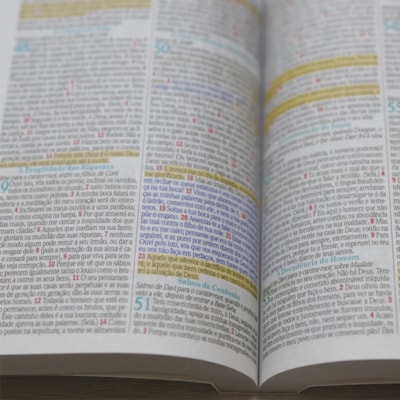 image_8e178536-091d-444a-af21-941c258e50ab