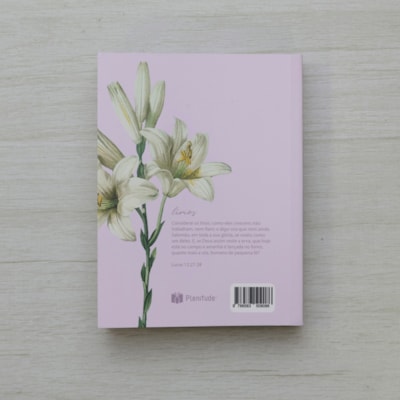 image_06bb9294-d2c0-497d-a9cb-43b508568090