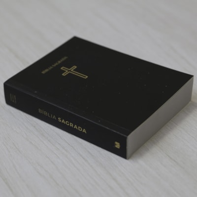 image_4a2c1600-6ee3-4c5a-bdb4-51017b43baa0