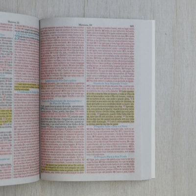 image_7915b8e5-9b13-4e76-a5a8-3aa7d824bbf0