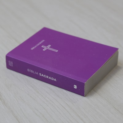 image_6e0fa930-89de-482e-8b82-7091954498e9