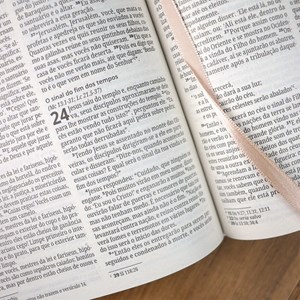 Bíblia Sagrada Pétala| NVI | Letra Normal | Capa Dura