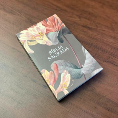 image_050498a7-f11f-4e76-83c4-580efbe7fd56