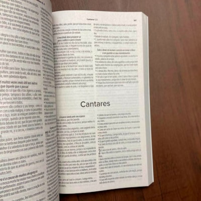 image_4fb41dda-6f88-445a-b230-af4949fa906b