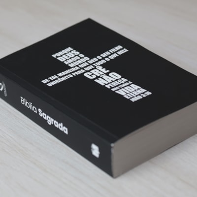 image_809957b4-dda7-4463-9049-a8254eddac75