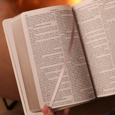 image_d340740e-9f78-4401-a979-5ae546b26da4