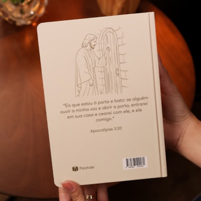 image_aad1f279-e18c-446c-86c9-eda81d9d7fd5