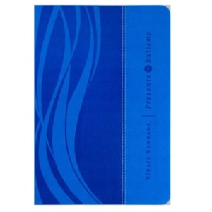 Bíblia Sagrada Presente de Batismo | Letra Normal | NVI | Capa Azul Luxo