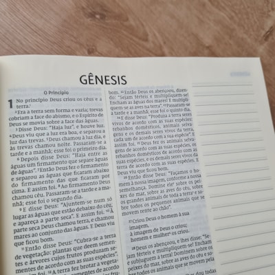 image_bc89172a-62d3-47ef-be1b-6aac46565c0b