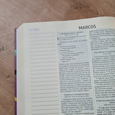 image_eaf9716d-e703-4538-bae0-ae2607e6bdc2